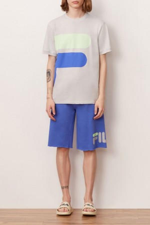 Fila Alvan Tee Qgry/Ampb/Pgrn | VXHP09574