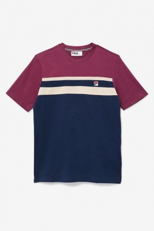 Fila Dover Tee 411 Peacoat / Prune / Mushroom | SPDC58076