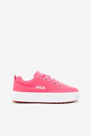 Fila Sandblast Low Sneakers Pglo/Pglo/Wht | YFKU84061