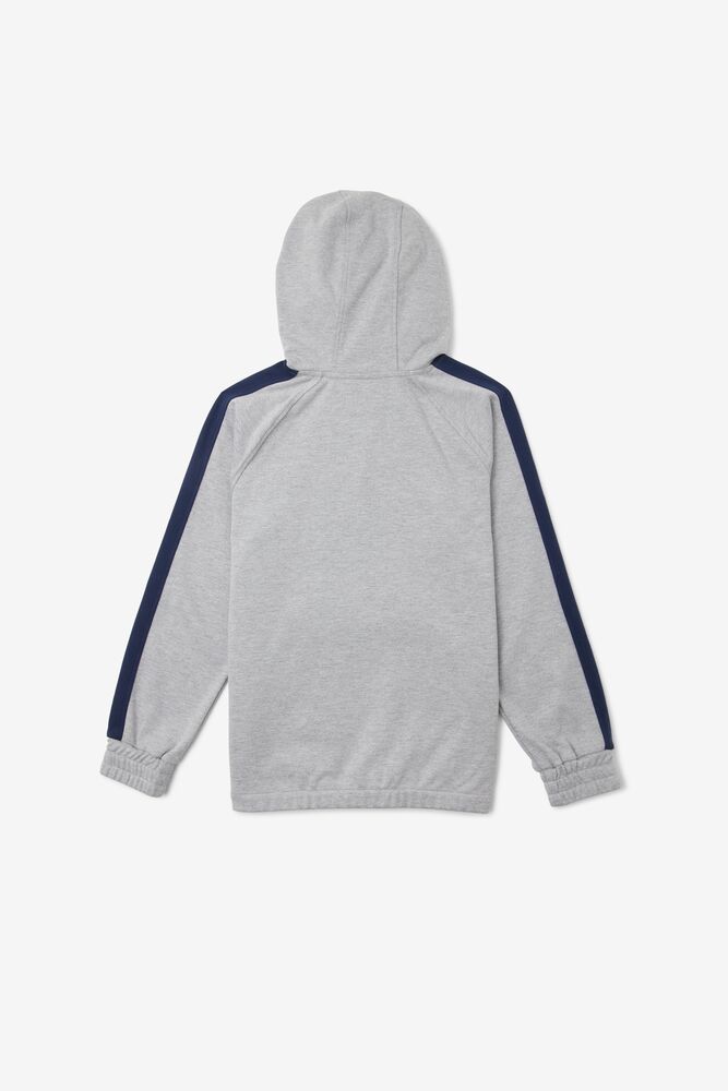 Fila James Hoodie Gris | LFJH20861