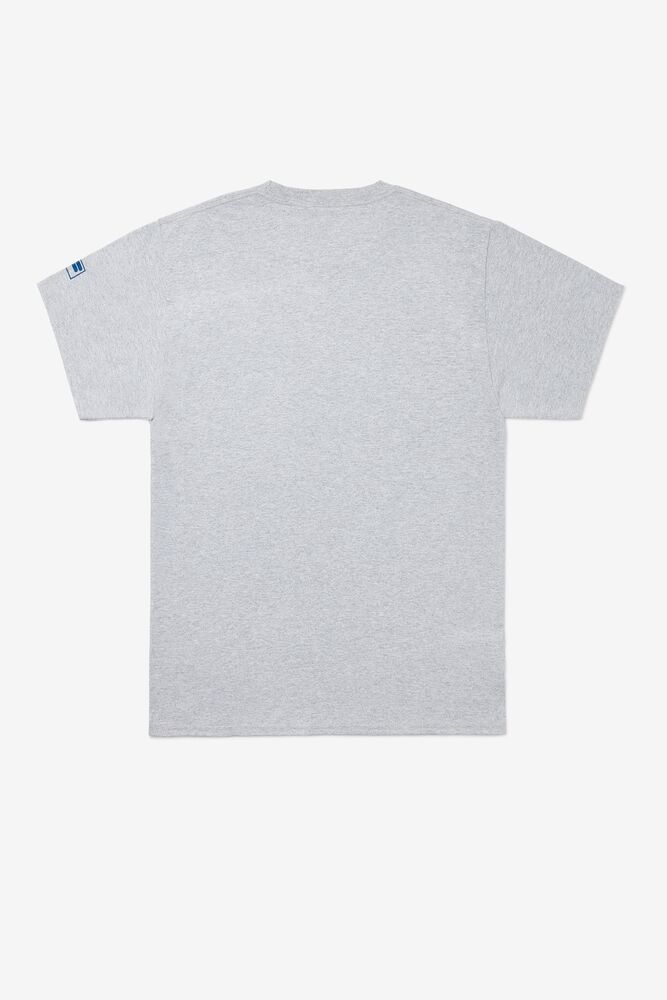 Fila Nyc Fila Flag Tee Gris | RWXB04539