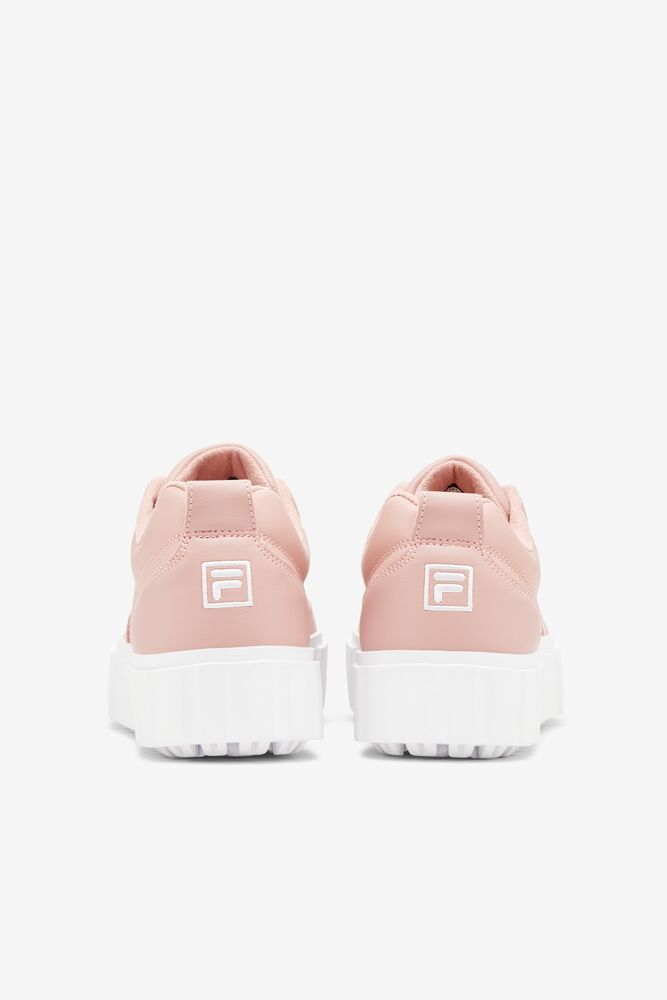 Fila Sandblast Low Sneakers Rosas Rosas Blancas | TSBH65982